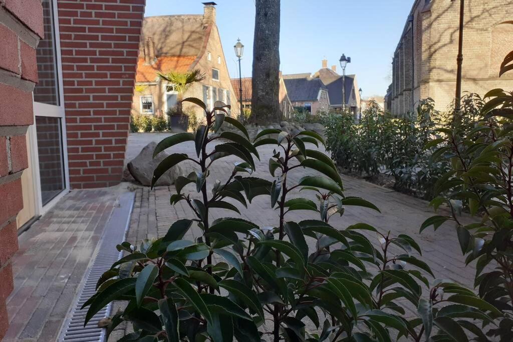 Brinkzicht Diever, Appartement Bert Exteriör bild
